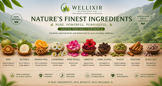 Herbal Wellness Teas for Modern Life: Discover the Wellixir Collection